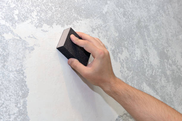 Best Industrial Mold Remediation  in Rutherford, TN