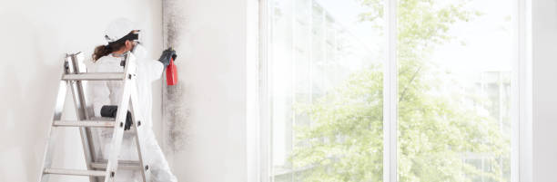 Best Commercial Mold Inspection  in Rutherford, TN